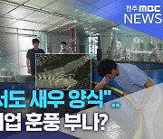 "민물에서도 새우 양식"..내수면 어업 훈풍 부나?