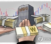 밸류업 무관 vs 근본 원인… 여전한 시각차