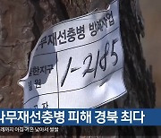 소나무재선충병 피해 경북 최다