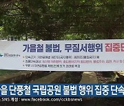 가을 단풍철 국립공원 불법 행위 집중 단속