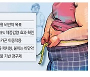 천고마비의 계절 … 비만치료제 전쟁