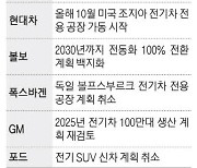 도요타 '캐즘' 우려에 북미 EV생산 1년 늦춰