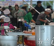 분주한 완주 와일드&로컬푸드 축제 먹거리 장터