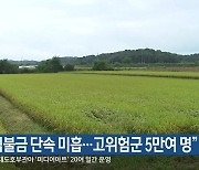 “직불금 단속 미흡…고위험군 5만여 명”