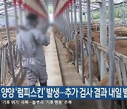 양양 ‘럼피스킨’ 발생…추가 검사 결과 내일 발표