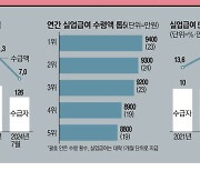 허위서류 내고 취업 숨기고…실업급여 빼먹다 걸려도 '경고'뿐