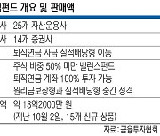 퇴직연금 살린다더니… ‘디딤펀드’ 찬바람