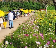 '가을 정취 만끽' 밀양 산외면 해바라기 축제 9일 개최