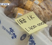 1kg에 160만 원 '금값'된 송이버섯‥송이빵에 송이 실종