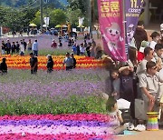 "가을이 왔다" 축제장 '북적'…휴일 남부 곳곳 비