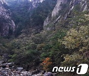 "비 내리는 산이 부르네" 10월 첫 일요일 강원 4대 명산에만 2만 인파