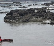 영광 백수해안도로 갯벌서 고동 채취 70대 고립…해경 구조