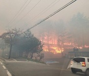 강원자치도, 강릉·양구 산불 피해지 긴급벌채 ...국비 6억 확보