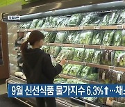 부산 9월 신선식품 물가지수 6.3%↑…채소류 폭등