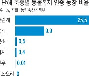 동물복지 농장 인증제 ‘헛구호’…소·돼지·오리 ‘0%’