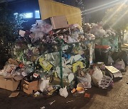 Seoul Fireworks Festival ends smoothly, but leaves piles of trash