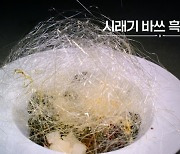 “韓이 훔쳐 가려해”…흑백요리사 ‘불법시청’한 중국 조롱 ‘황당’