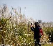 인천, 예년과 비슷한 가을 날씨…아침엔 흐리고 쌀쌀