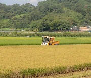 전남도, 벼 경영안정대책비 신청 접수