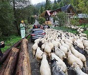 POLAND ANIMALS TRADITION