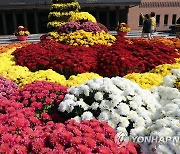 '가을향기 가득' 강원도립화목원, 오는 12일부터 국화 전시회