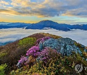 명산많은 경남, 가을 산악사고 주의보…연간 구조건수 30% 집중