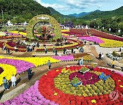 '꽃길만 걷자' 인제 가을꽃축제, 개막 9일 만에 10만명 돌파