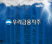 "우리금융저축은행·캐피탈도 전 회장 부당대출"…또 우리은행 출신 개입