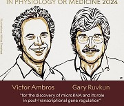 노벨 생리의학상 마이크로RNA 발견한 암보르스·루브쿤 수상