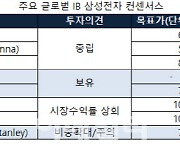 '아님 말고' 글로벌IB 리포트에 휘청…'대응방안' 없나