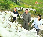 北, 함흥시청년염소목장 조명…"사랑의 젖제품 나라 곳곳"