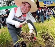 김두겸 시장, 5개월 만에 ‘청렴미’ 수확