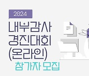 내부 감사도 AI로 하는 시대…감사협회, 다음달 7일 온라인 경진대회 개최