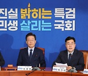 [국감2024] 민주 "국정감사서 '김여사 국정농단' 집중 추궁할 것"