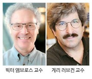 [2024 노벨상] 암·난치병 치료제 '비밀열쇠'… 마이크로RNA 발견한 2인