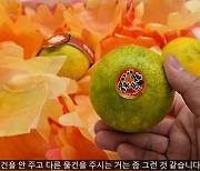 이번엔 황금향 바꿔치기? "제주 시장서 노란색 골랐는데 열어보니…"