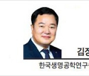 [IT과학칼럼] 과학기술 도약, 해외 인력활용 필수다