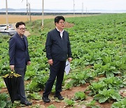 가을 배추 생육 상황 점검 나선 권재한 농진청장