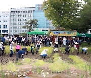 울산시청에 마당에서 '벼베기'... '청렴과 화합'의 떡으로