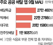 공익만 앞세워 질 낮은 서비스···우후죽순 공공 플랫폼 비판 커져