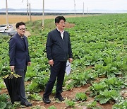 권재한 청장, 가을배추 생육 상황 점검