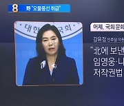 北 보낸 나훈아·임영웅 영상에…야당 문제 제기?