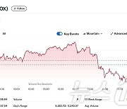 엔비디아 2.24% 급등에도 반도체지수는 0.19% 하락(종합)