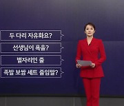 "두발 자유화, 두 다리 자유화요?"...교원 91.8% '학생들 문해력 저하됐다' [앵커리포트]