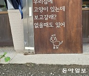 [고양이 눈]고양이 보고 갈래?