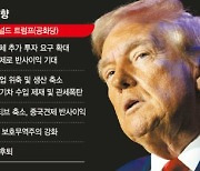 "누가 돼도 對美투자 압박 고조"… 반도체, 해리스보다 트럼프[美 대선 한달 앞으로]