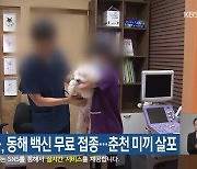 광견병 대응, 동해 백신 무료 접종…춘천 미끼 살포