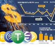 [단독] "韓무역 10% 스테이블 코인으로 거래"…통계 안잡혀 지표 왜곡 불러