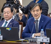 “딸 스스로 학위 반납”···검찰, 조국 선거법 위반 혐의 불기소