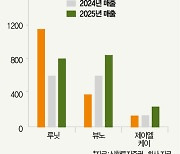 재조명 받는 ‘의료 인공지능 기업’ 삼총사